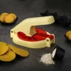 plastic puri and chapti maker